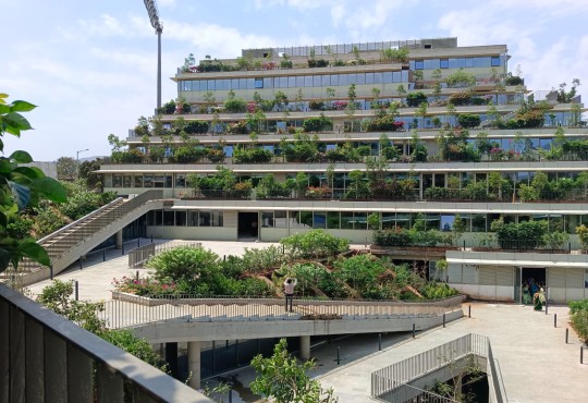 Dy Patil Medical College Ambi Building